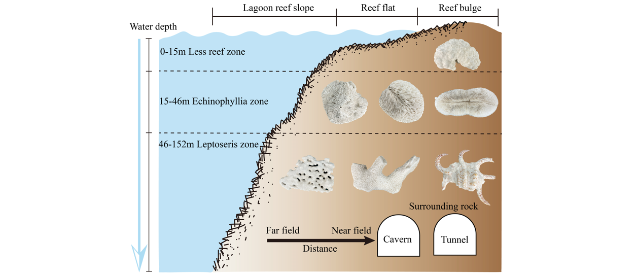 武漢巖土所珊瑚礁灰巖孔隙結構表征及力學強度的智能預測取得進展